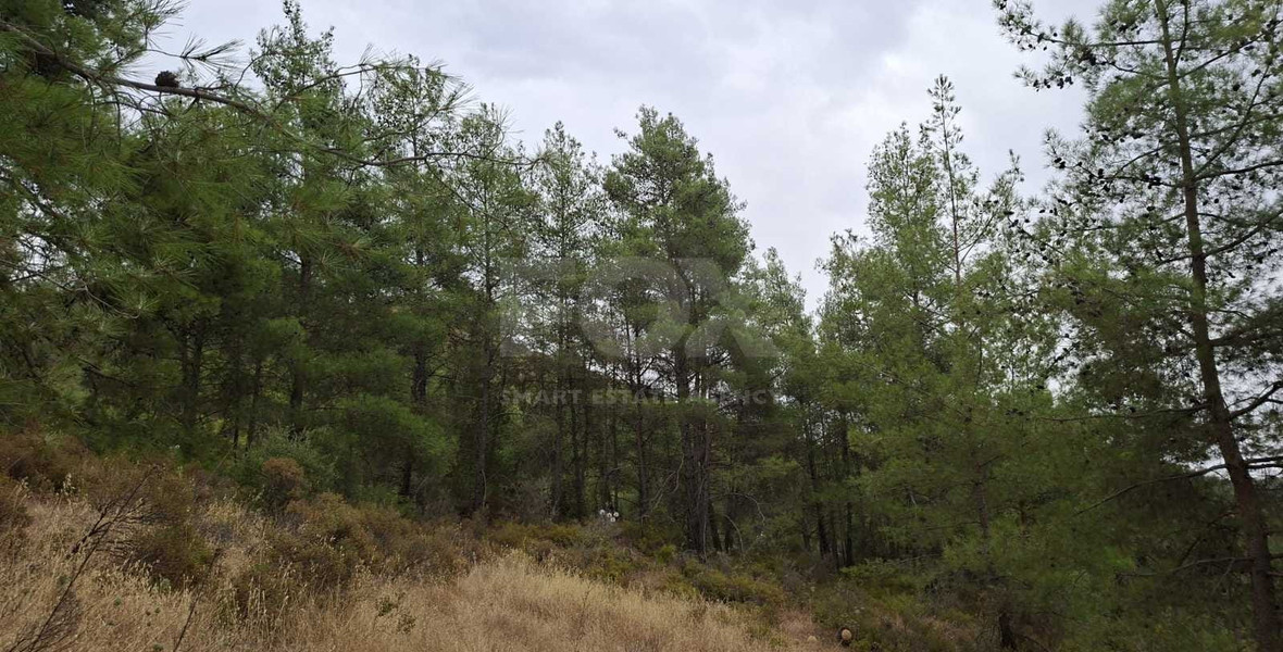 Residential plot in Pera Pedi for sale, Limassol