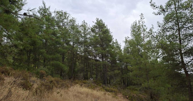 Residential plot in Pera Pedi for sale, Limassol