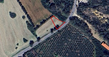 Agricultural Plot in Polis Chrysochous in Paphos for sale