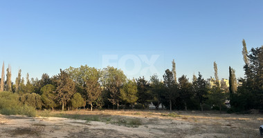 Plot for sale in Chloraka, Paphos