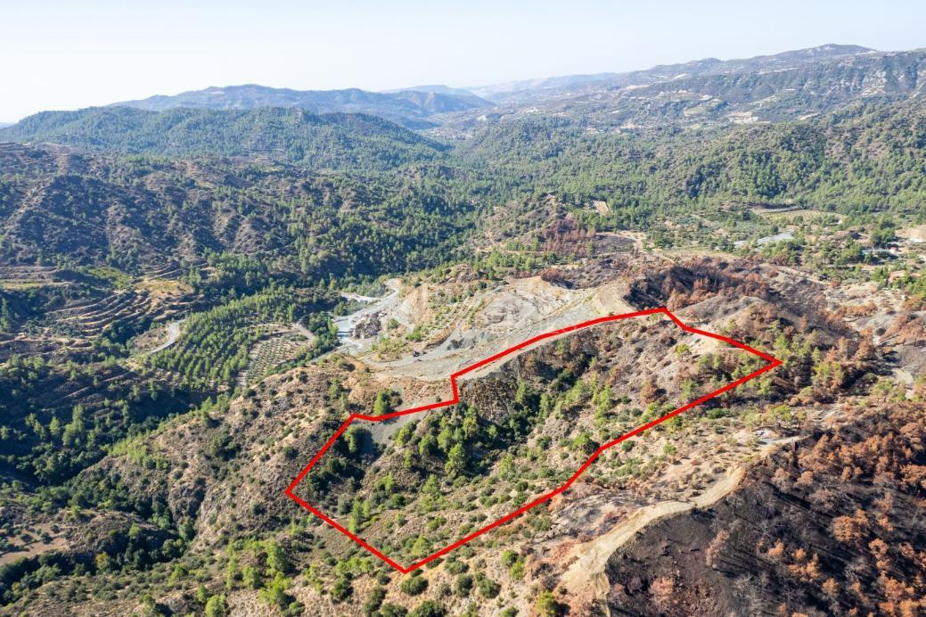 Agriculture land for sale in Pelendri, Limassol