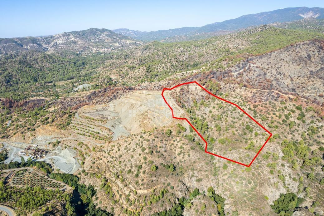 Agriculture land for sale in Pelendri, Limassol