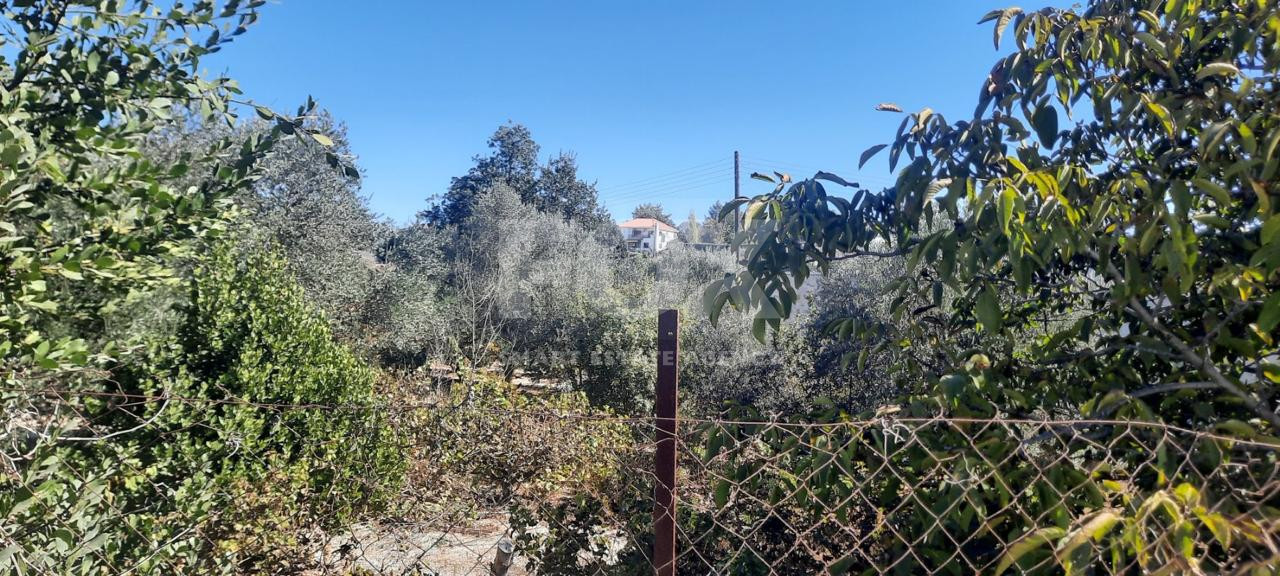 Residential Land for sale in Tsada, Paphos