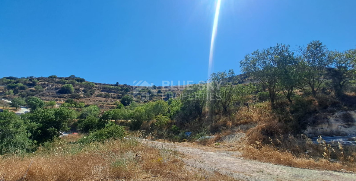 Agriculture Land for sale in Tsada, Paphos