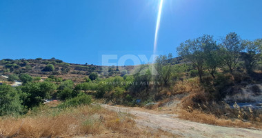 Agriculture Land for sale in Tsada, Paphos
