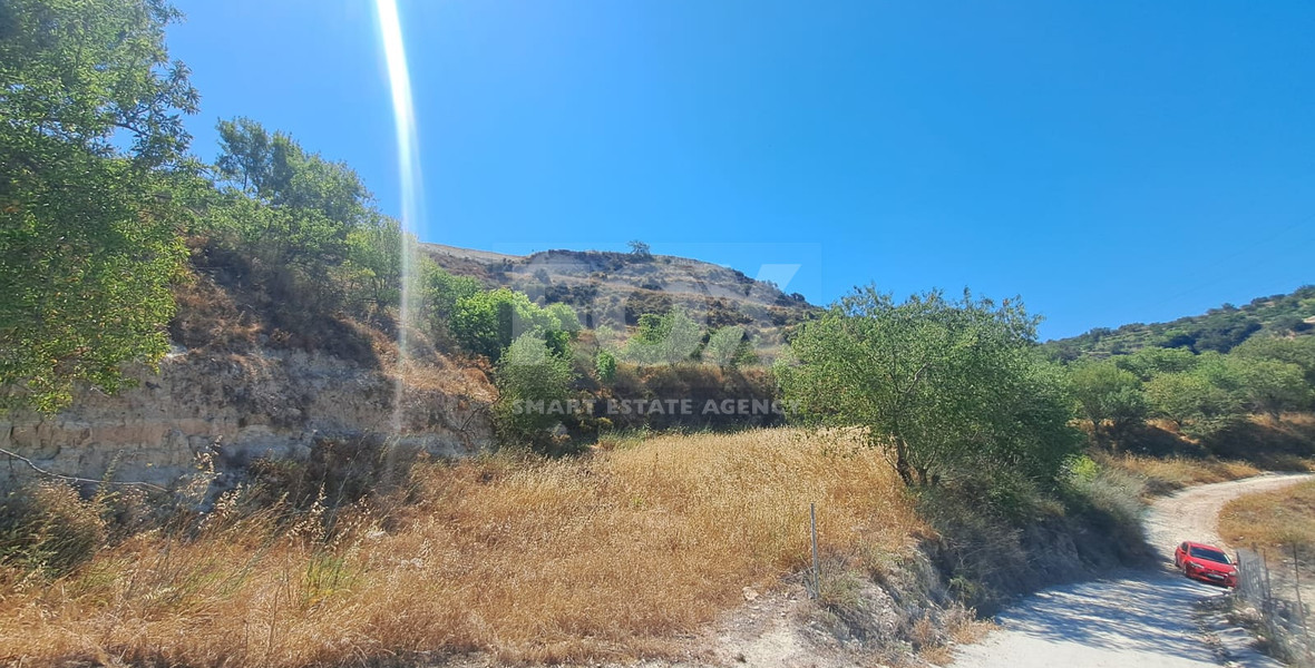 Agriculture Land for sale in Tsada, Paphos
