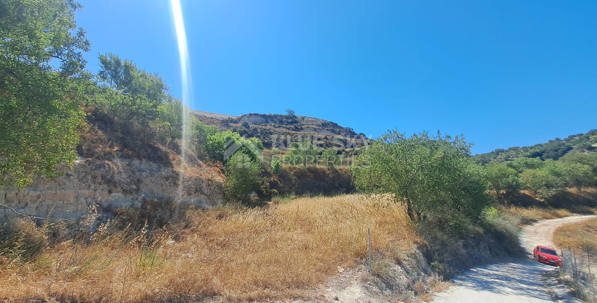 Agriculture Land for sale in Tsada, Paphos
