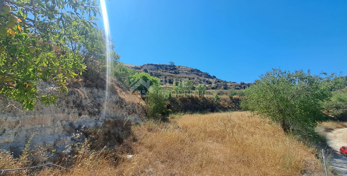 Agriculture Land for sale in Tsada, Paphos