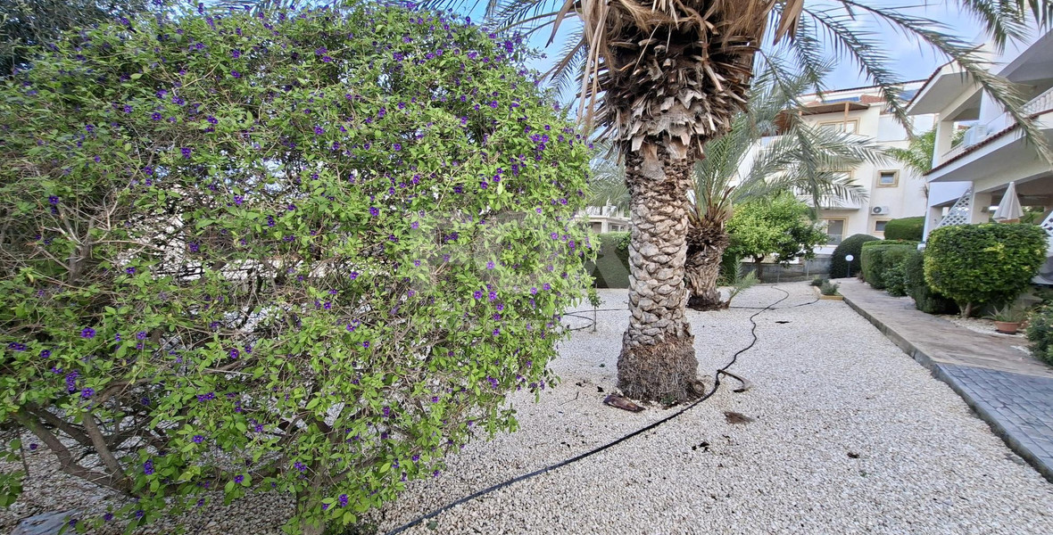 Two bedroom plus office apartment for rent in Kissonerga