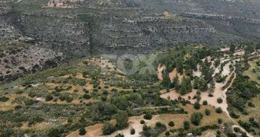 Land for sale  in Souni Zanakia, Limassol