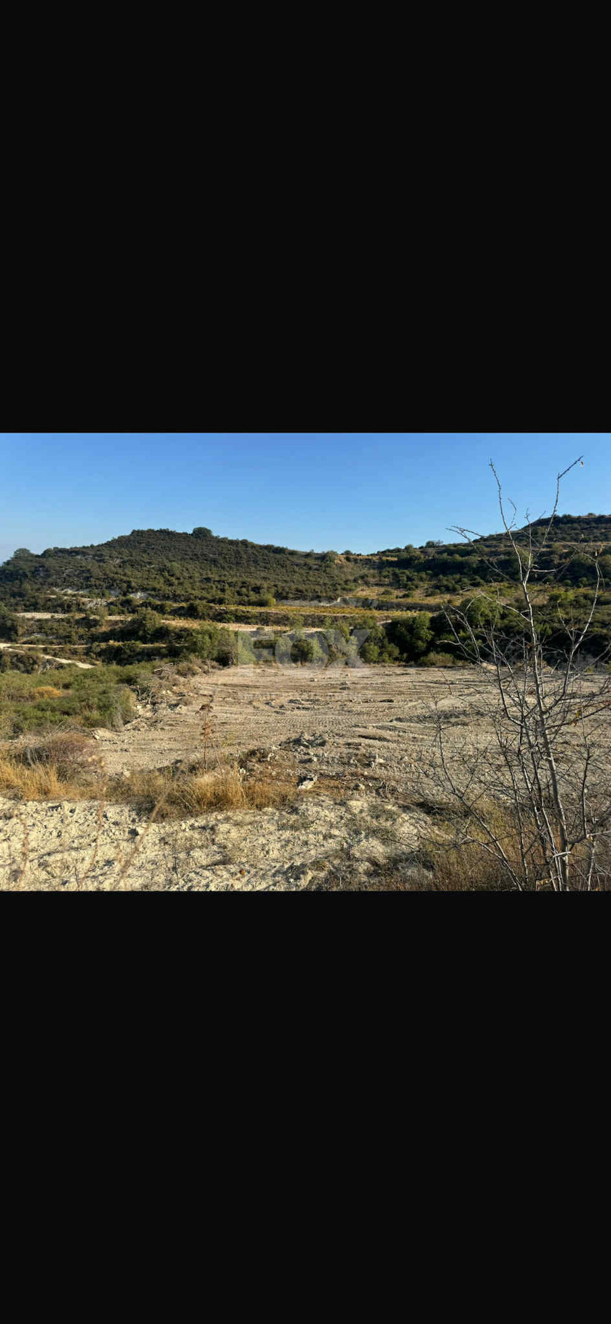 Nice agricultural land 11037sqm in Pachna village