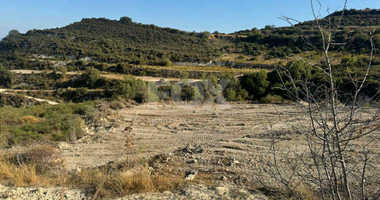 Nice agricultural land 11037sqm in Pachna village