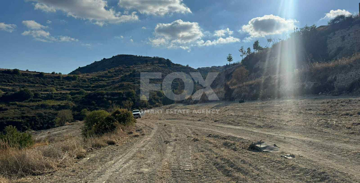 Nice agricultural land 11037sqm in Pachna village