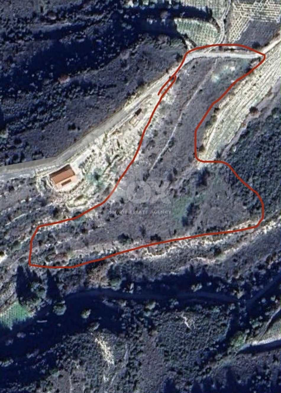 Nice agricultural land 11037sqm in Pachna village