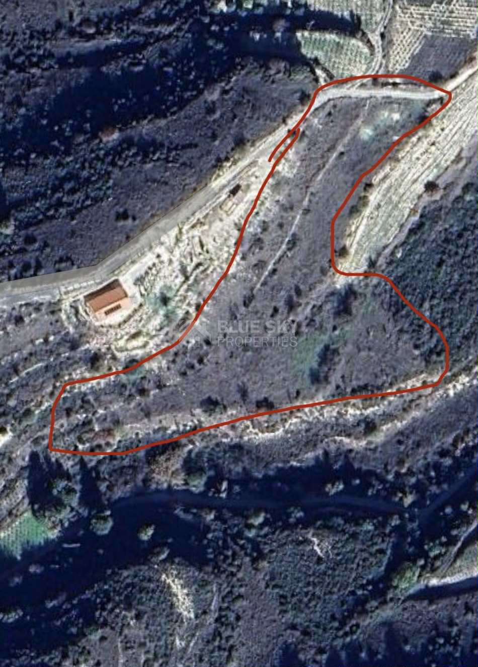 Nice agricultural land 11037sqm in Pachna village