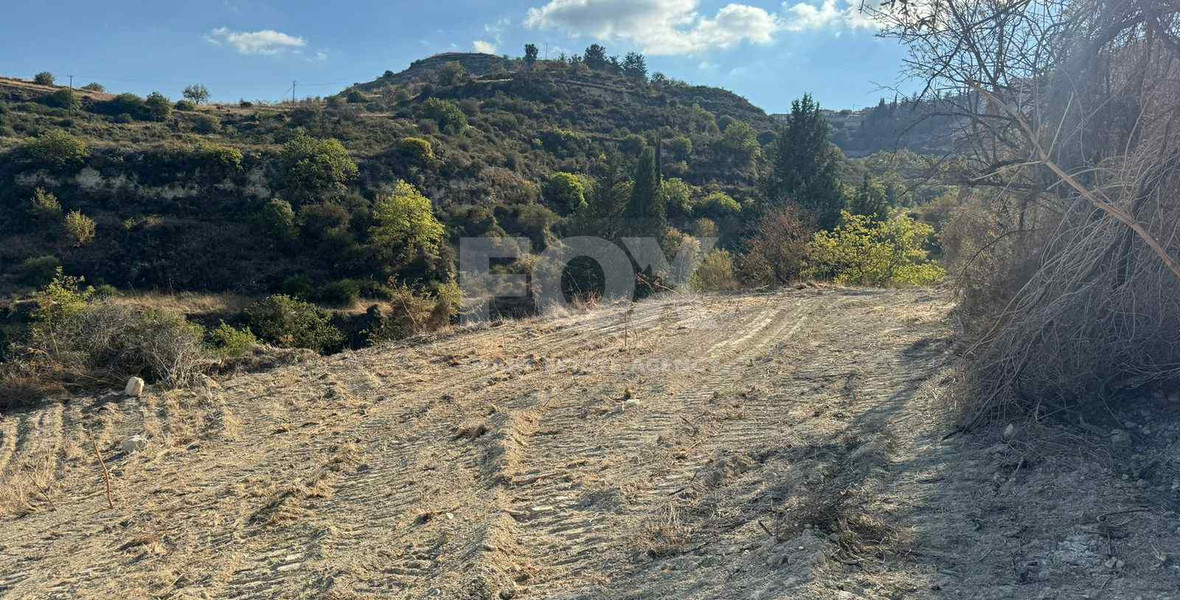 Nice agricultural land 11037sqm in Pachna village