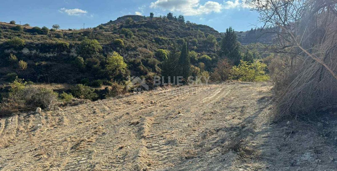 Nice agricultural land 11037sqm in Pachna village