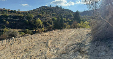 Nice agricultural land 11037sqm in Pachna village