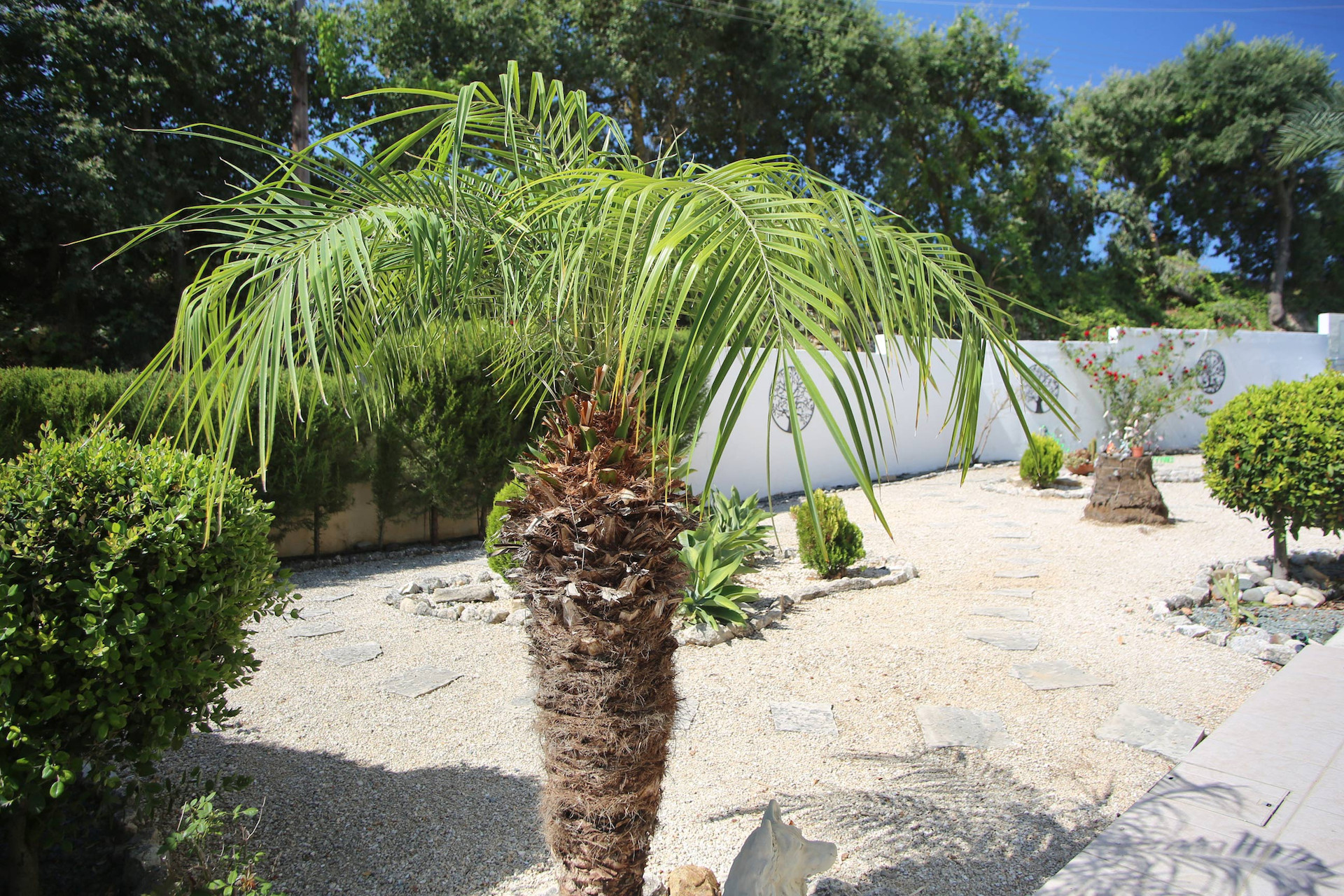 Appartement 3 chambres 209 m² Stroumpi, Chypre