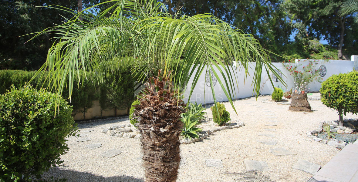 For sale : Three bedroom house in Stroumbi , Paphos