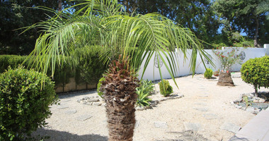 Exclusive Listing - For sale a three bedroom stunning house in Stroumbi , Paphos