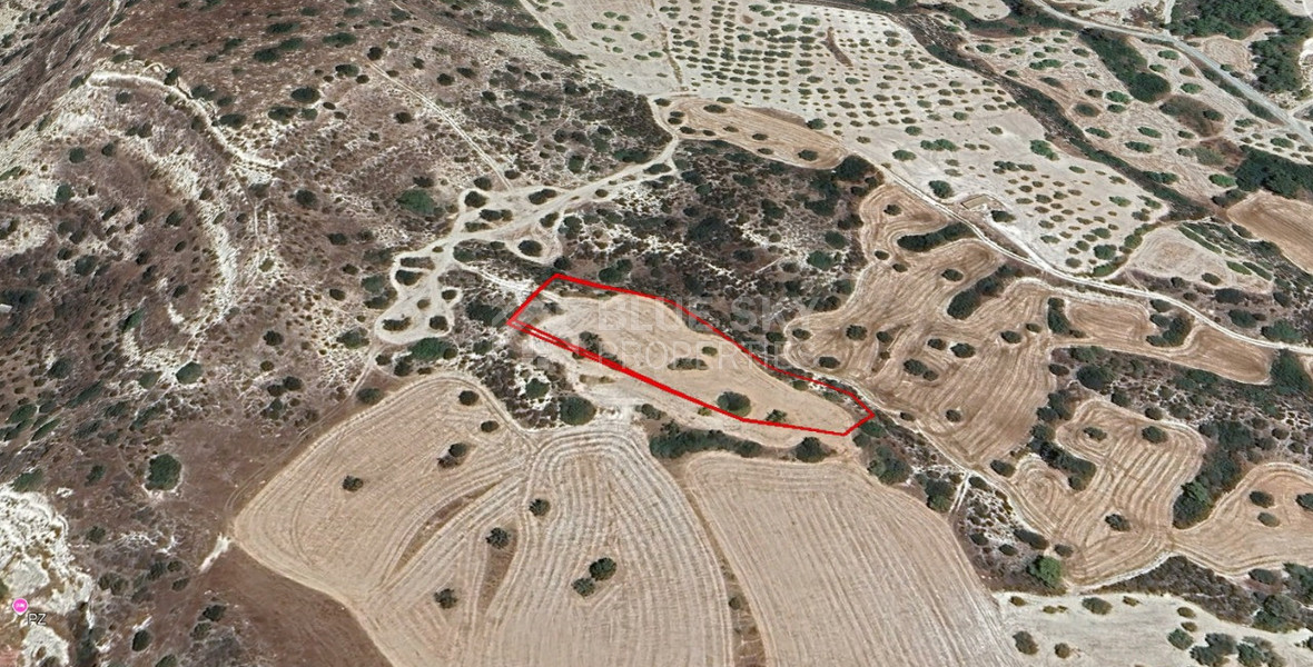 Large Field for Sale In Pentakomo