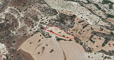 Large Field for Sale In Pentakomo
