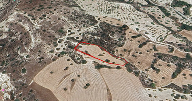 Large Field for Sale In Pentakomo