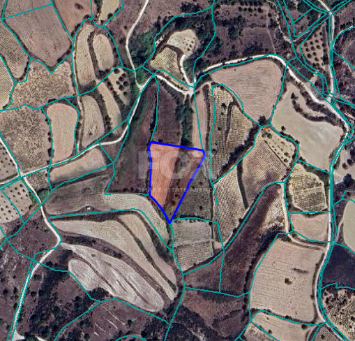 Large Field for Sale in Thrinia Area