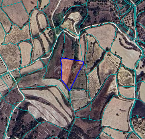 Large Field for Sale in Thrinia Area