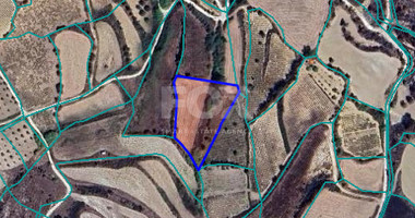 Large Field for Sale in Thrinia Area