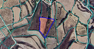Large Field for Sale in Thrinia Area