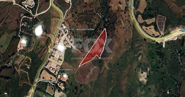 Large Field for Sale in Scenic Drousia Village