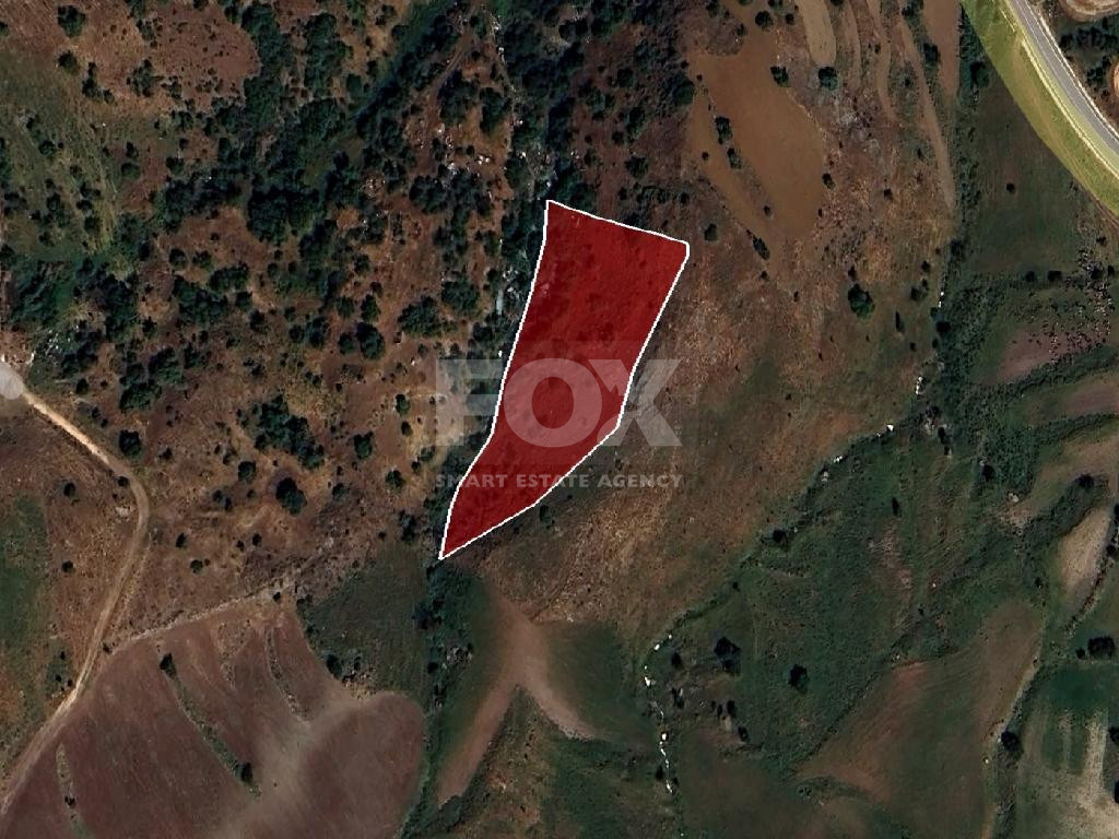 Large Field for Sale in Scenic Drousia Village