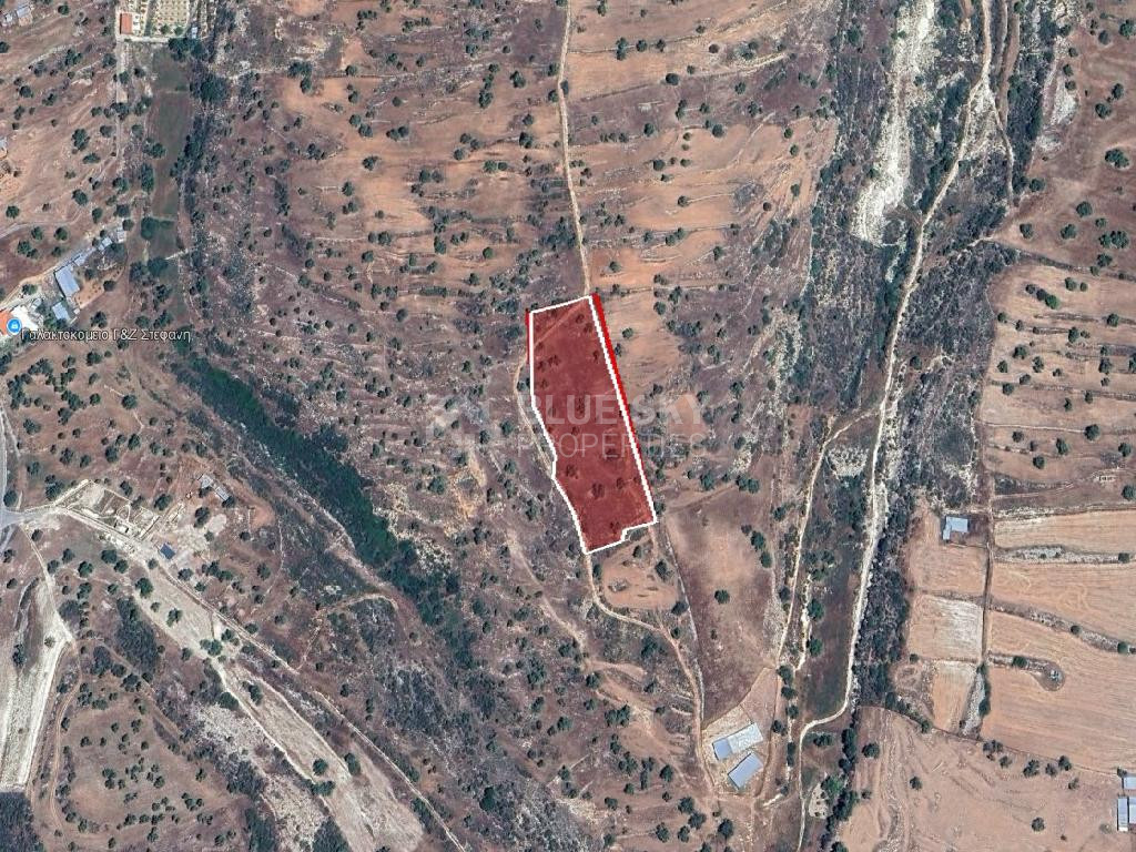 Agriculture land for sale in Pachna village, Limassol