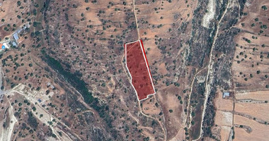 Agriculture land for sale in Pachna village, Limassol