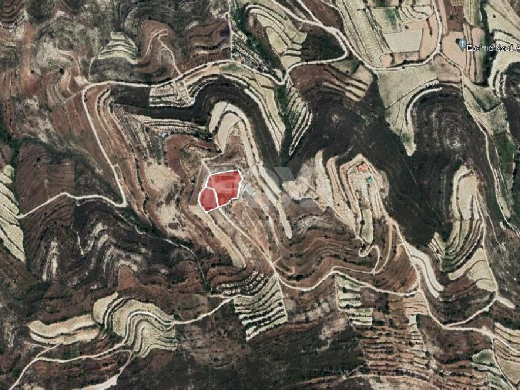 Agriculture land for sale in Pachna village, Limassol