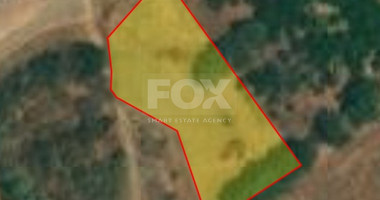 Exceptional Seafront Land in Pachyammos — A Mediterranean Dream Awaits