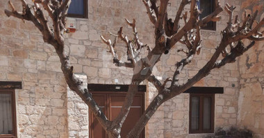 Spacious three bedroom villa available for rent in Vasa Koilaniou Limassol