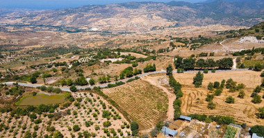 Residential Field for Sale in Fyti, Paphos – 7,358m² Plot in Zone H3 Ideal for Development