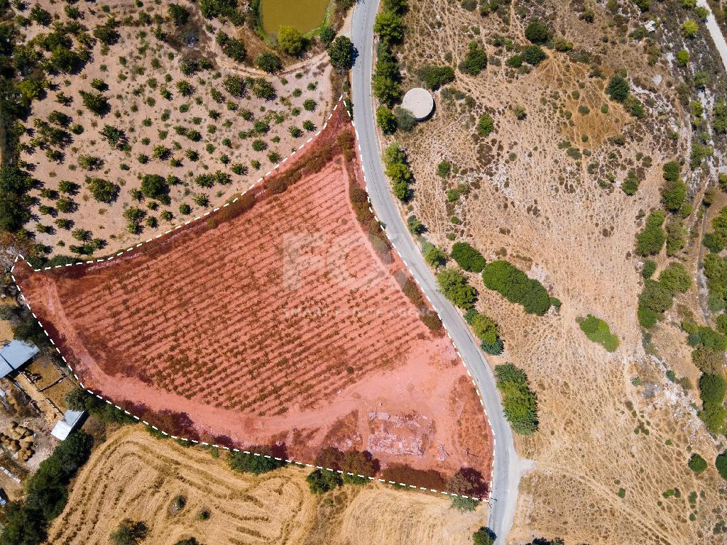 Residential Field for Sale in Fyti, Paphos – 7,358m² Plot in Zone H3 Ideal for Development