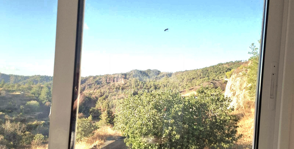 In the middle of the forest  one bedroom cozy apartment for rent in Pelendri Limassol