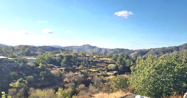 In the middle of the forest  one bedroom cozy apartment for rent in Pelendri Limassol