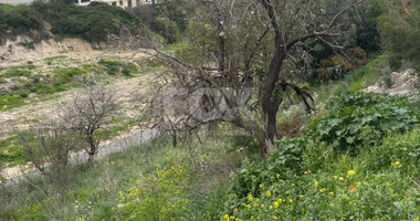 Large Land for Sale in Pegeia – Prime Location for Home or Investment