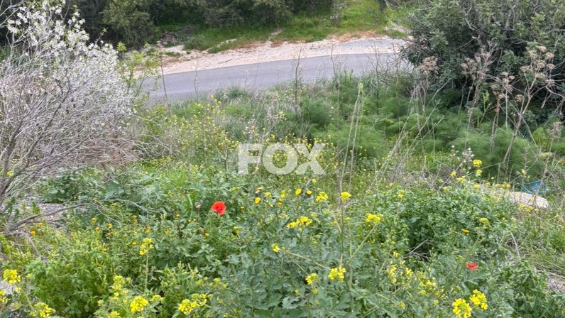 Plot of land for sale 1273 m² in Pegeia, Paphos, Cyprus