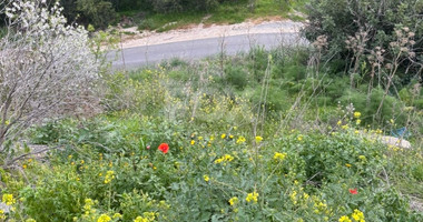 Large Land for Sale in Pegeia – Prime Location for Home or Investment