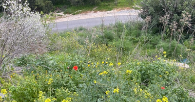 Large Land for Sale in Pegeia – Prime Location for Home or Investment