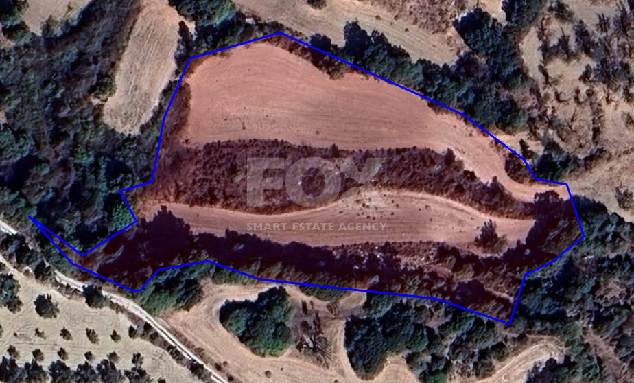 Agricultural Field for Sale in Simou Village