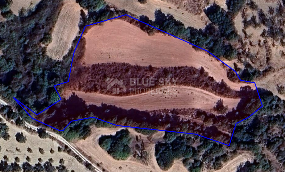 Agricultural Field for Sale in Simou Village