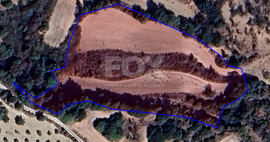 Agricultural Field for Sale in Simou Village